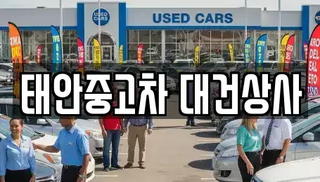 충청남도 태안군 태안읍 중고차,렌트카,중고차매입,중고차매매,장기렌트카,단기렌트카