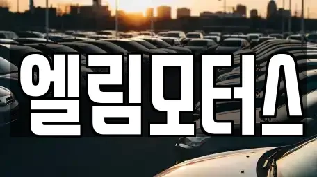 충청북도 음성군 음성읍 중고차 전문 엘림모터스
