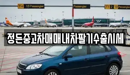 충청북도 청주시 상당구 가덕면 중고차 전문 정든중고차매매내차팔기수출시세