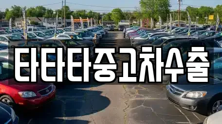 충청북도 청주시 상당구 가덕면 중고차 전문 타타타중고차수출