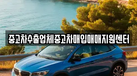 충청북도 청주시 상당구 가덕면 중고차매입 전문 중고차수출업체중고차매입매매지원센터