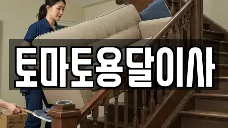 토마토용달이사