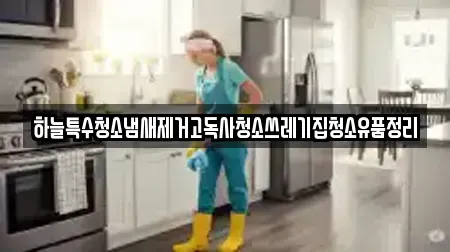 하늘특수청소냄새제거고독사청소쓰레기집청소유품정리
