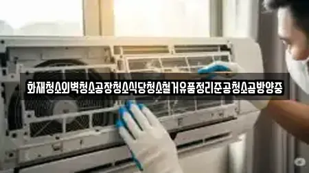 강원 정선군 신동읍 청소업체 TOP 5 랭킹